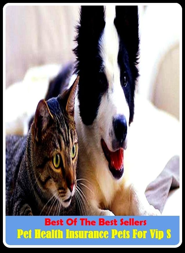 Best of the Best Sellers Pet Health Insurance Pets For Vip S ( annoyance, nagging, molestation, bother, chagrin, pet, minion, dear, joy, favourite )