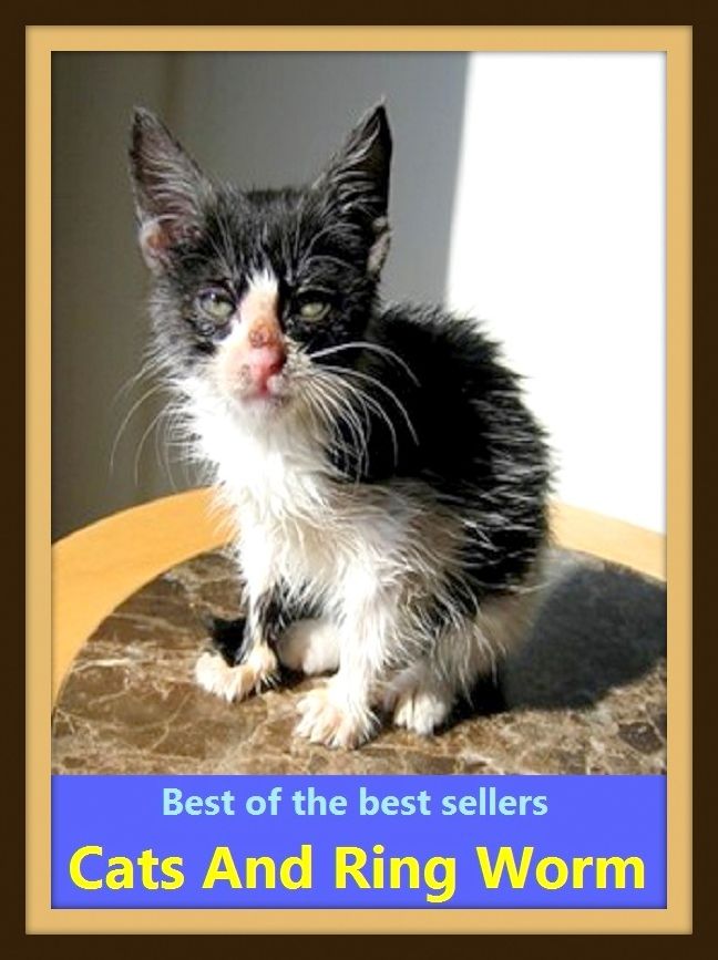 Best of the Best Sellers Cats And Ring Worm (canker, insect, ladybug, cankerworm, ladybird, grub, angleworm, insect, bloodworm, moth, beetle, termite)