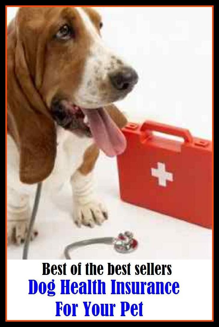 Best of the best sellery Dog Health Insurance For Your Pet ( cherished, darling, rdear, deare, arendearing, favored, loved, preferred, special, affectionate )