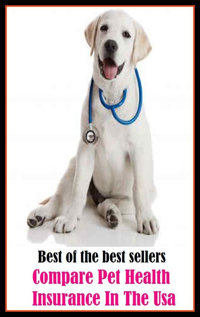 Best of the best sellery Compare Pet Health Insurance In The Usa ( condition, wholesomeness, euphoria, well-being, fitness, vigorousness, haleness, trim, healthiness, stamina, naturalness, salubrity )