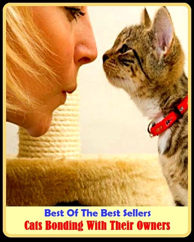 Best of the Best Sellers Cats Bonding With Their Owners ( indenture, bond, bind, article, bind, strike, strike, walkout, hit, lay, )