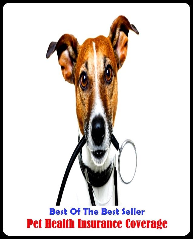 Best of the Best Sellers Pet Health Insurance Coverage ( well-being, healthiness, fitness, good condition, good shape, fine fettle, strength, vigor, wellness )