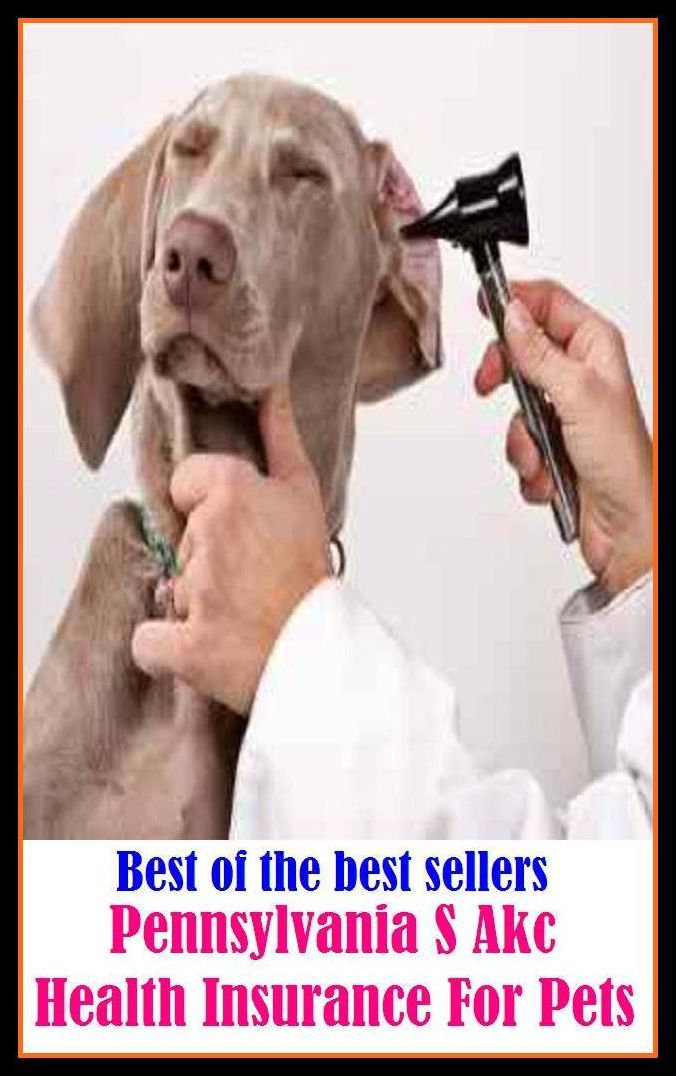 Best of the best sellery Pennsylvania S Akc Health Insurance For Pets ( condition, wholesomeness, euphoria, well-being, fitness, vigorousness, haleness, trim, healthiness, stamina, naturalness, salubrity )