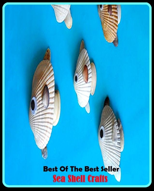 Best of the Best Sellers	Sea Shell Crafts ( sea, brine, ocean, blue, briny, foam, open, the open, bare, loose, open-air, shell, Crafts )