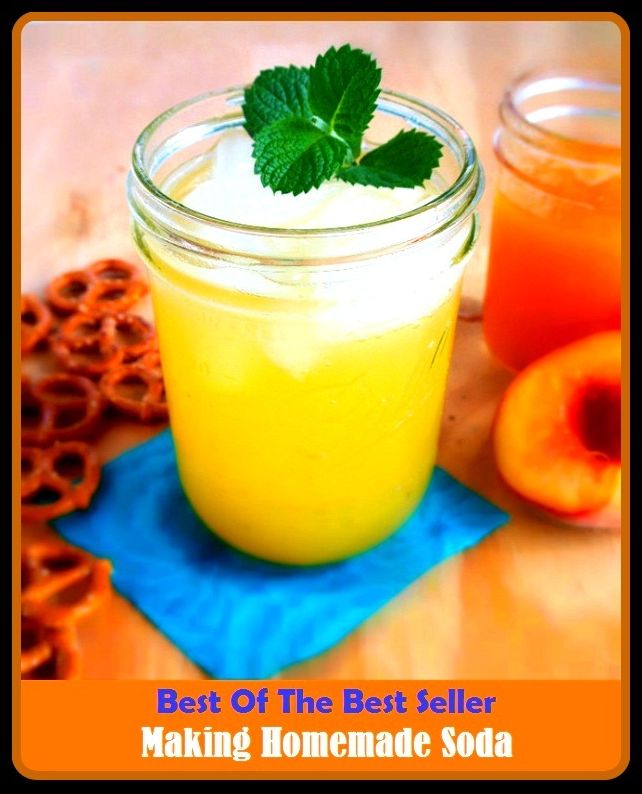 Best of the Best Sellers	Making Homemade Soda ( construction, building, making, erection, make, working, homely, domestic, home-bred )