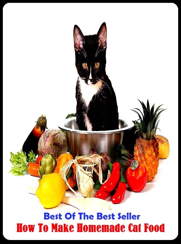 Best of the Best Sellers	How To Make Homemade Cat Food ( create, manufacture, produce, homely, simple, homespun, cat, Felis domesticus, aliment, potluck, mess )