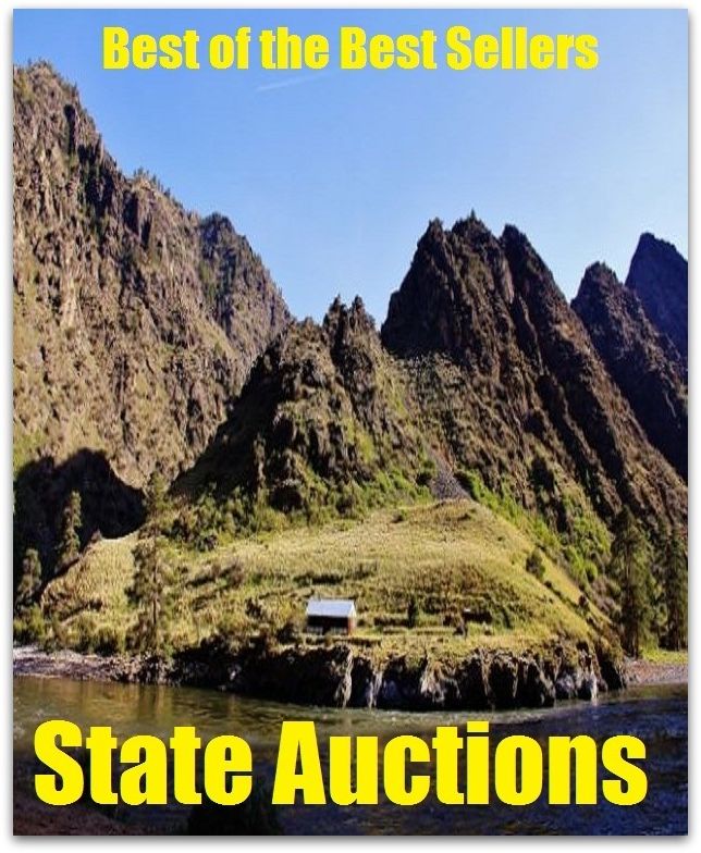 Best of the Best Sellers State Auctions (auction, market, picket, whist, ruff, rouge et noir, slam, auctioneer, cant)