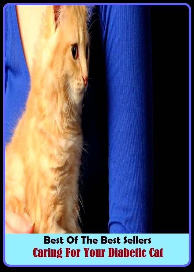 Best of the Best Sellers Caring For Your Diabetic Cat ( cat, gib, grimalkin, Felis domesticus, inflammable, ardent, combustible, inflammable, Flammable, fiery )