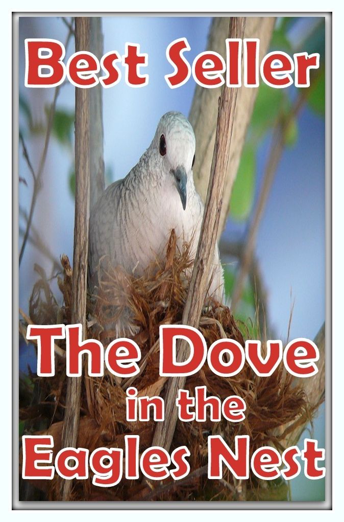 Best Seller The Dove in the Eagles Nest ( epic, fantasy, thriller, ethical, moral, logic comments, Mystery, romance, action, adventure, science fiction, drama, comedy, blackmail, humor classic, novel, literature, suspense )