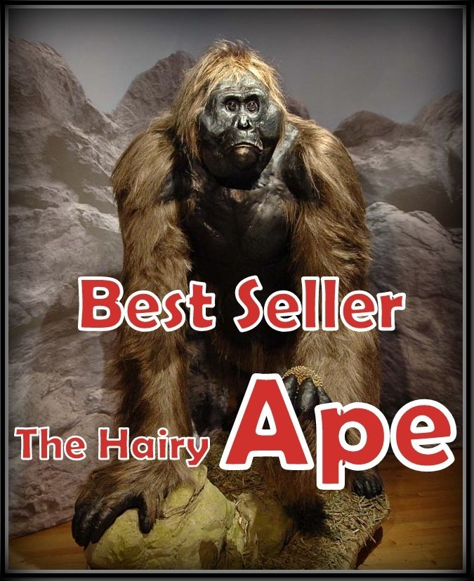 Best Seller The Hairy Ape ( epic, fantasy, thriller, ethical, moral, logic comments, Mystery, romance, action, adventure, science fiction, drama, comedy, blackmail, humor, classic, novel, literature, suspense )