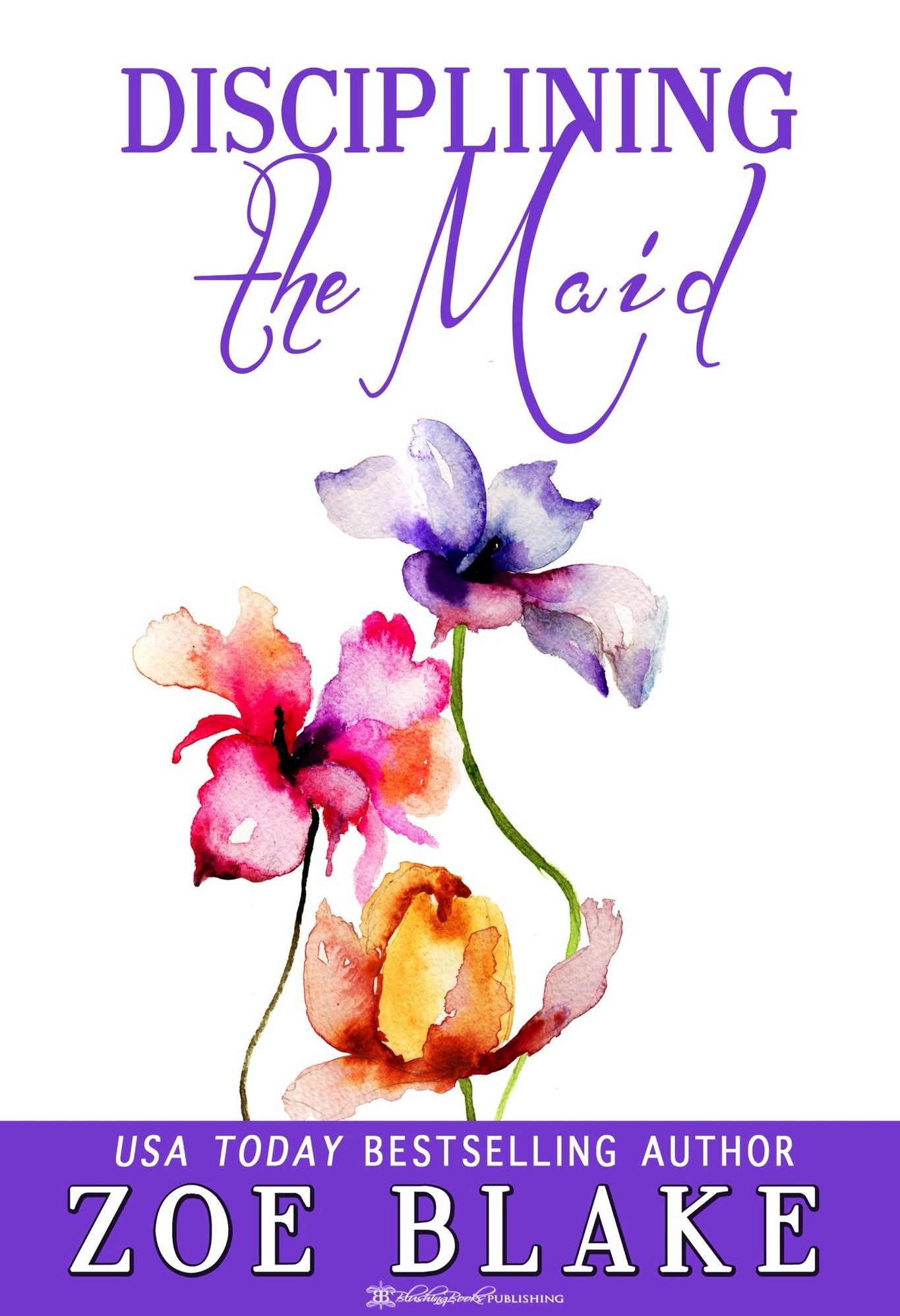 Disciplining the Maid