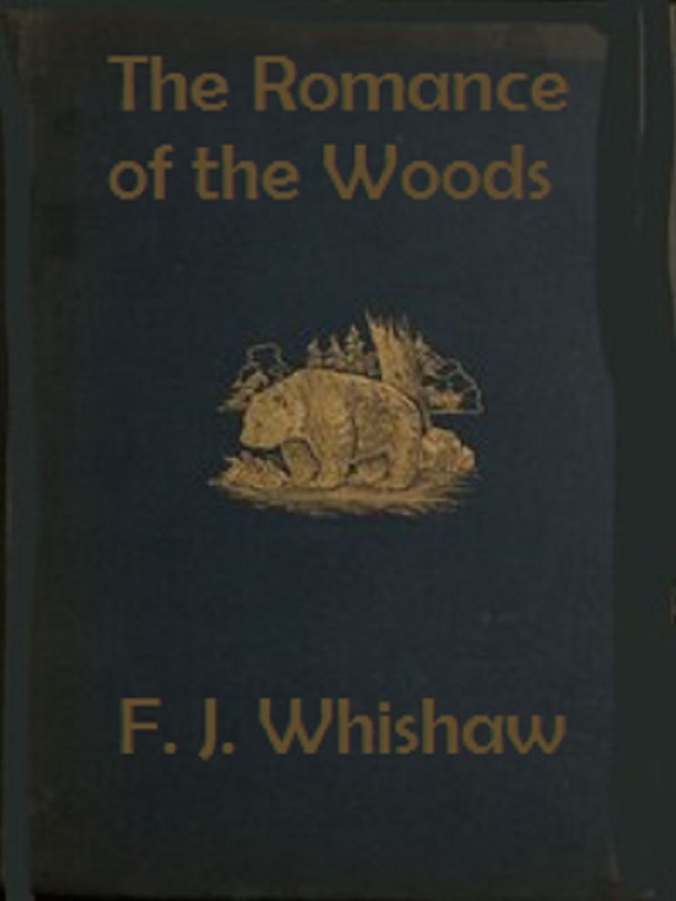 The Romance of the Woods