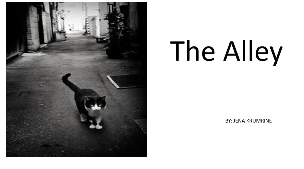 The Alley