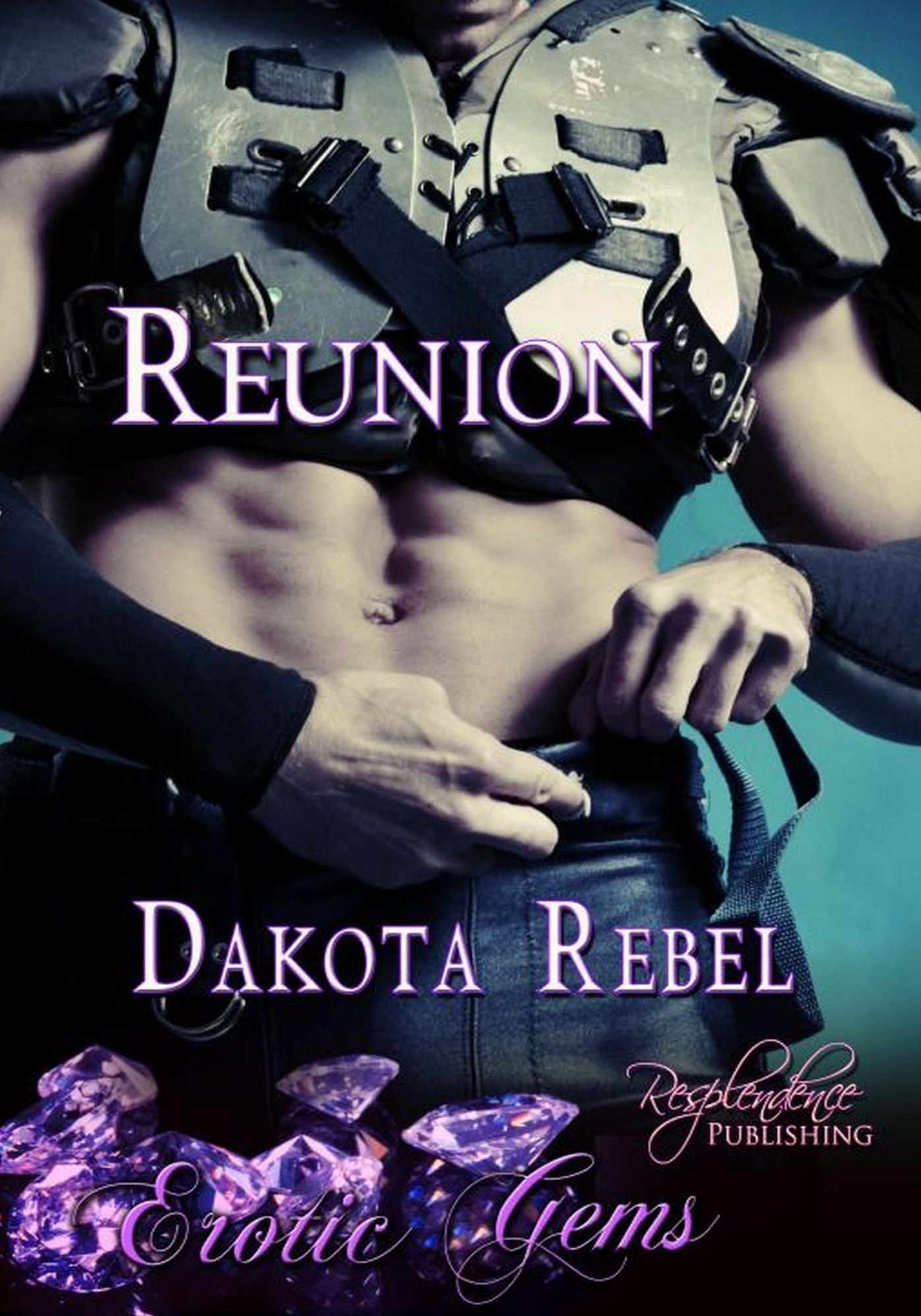 Reunion (Erotic Gems Short Story) by Dakota Rebel