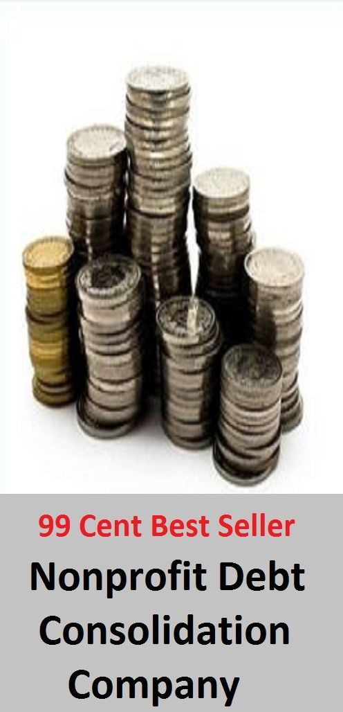 99 Cent Best Seller Nonprofit Debt Consolidation Company(association,club,community,group,party,team,aggregation,assemblage,assembly,band)