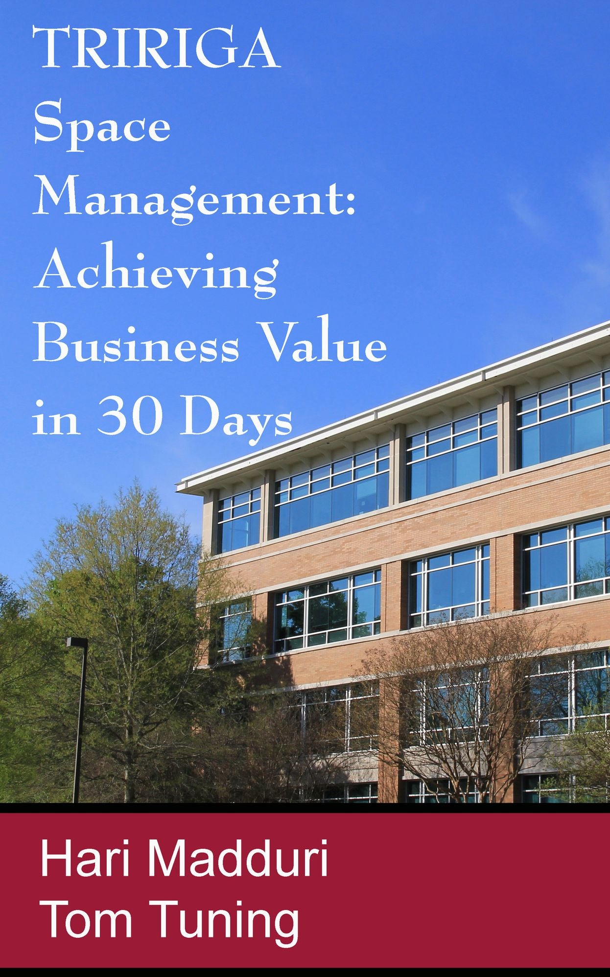 TRIRIGA Space Management: Achieving Business Value within 30 Days