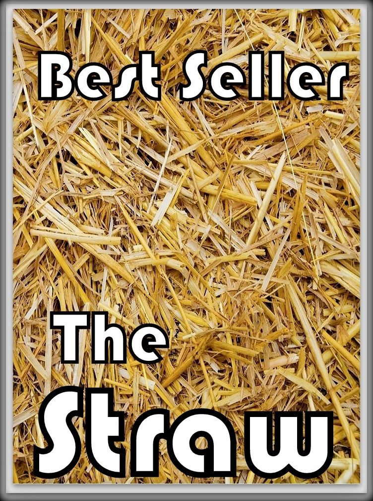 Best Sellers The Straw