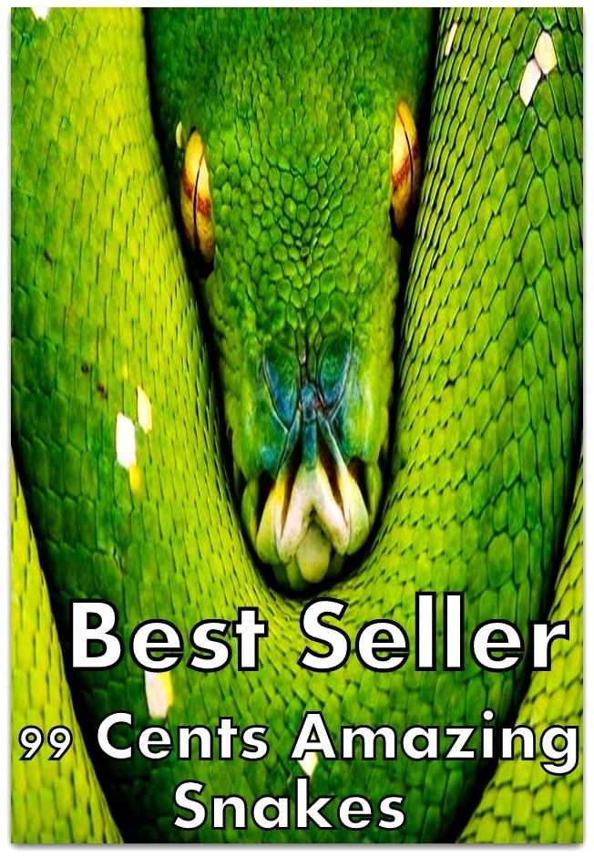 #1 Best Sellers 99 Cents Amazing Snakes ( spiders , tarantula , sea, creature, sea world, underwater world, horse, wild, forest, beast, animals, elephant, photo, fish, wildlife, ocean, shark, octopus )