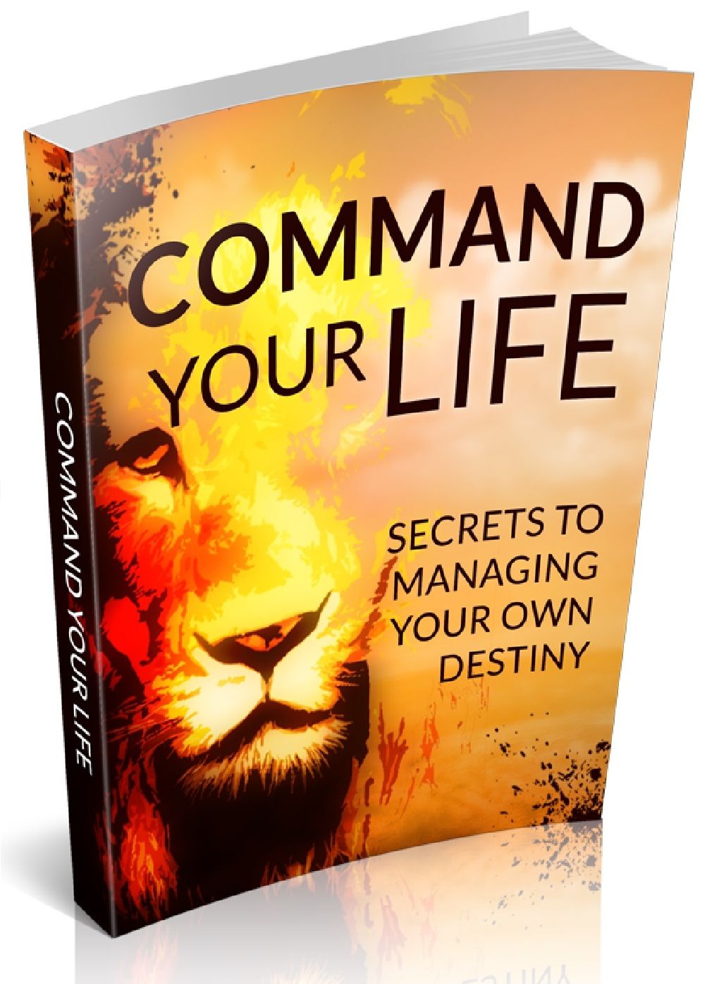 Command Your Life - Secrets To Managing Your Own Destiny