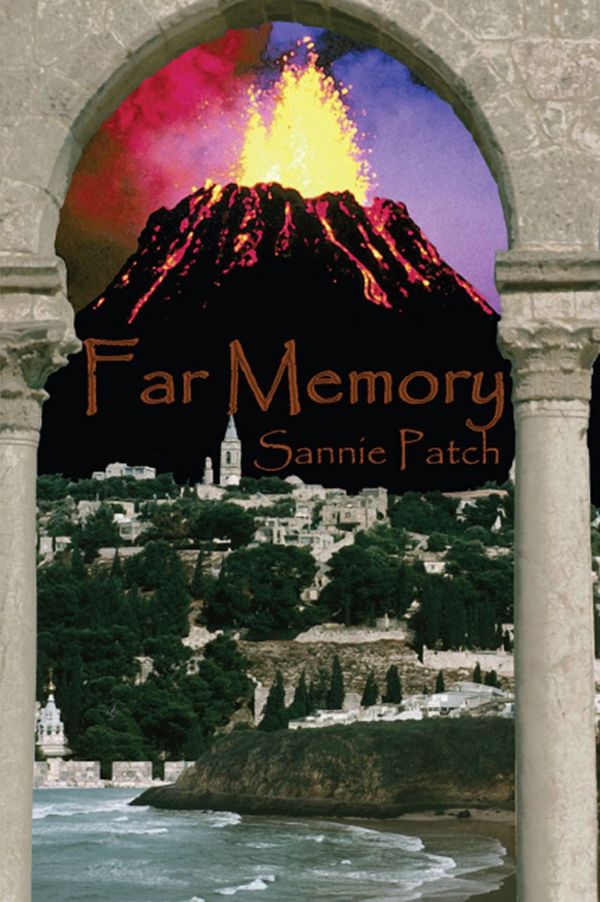 Far Memory