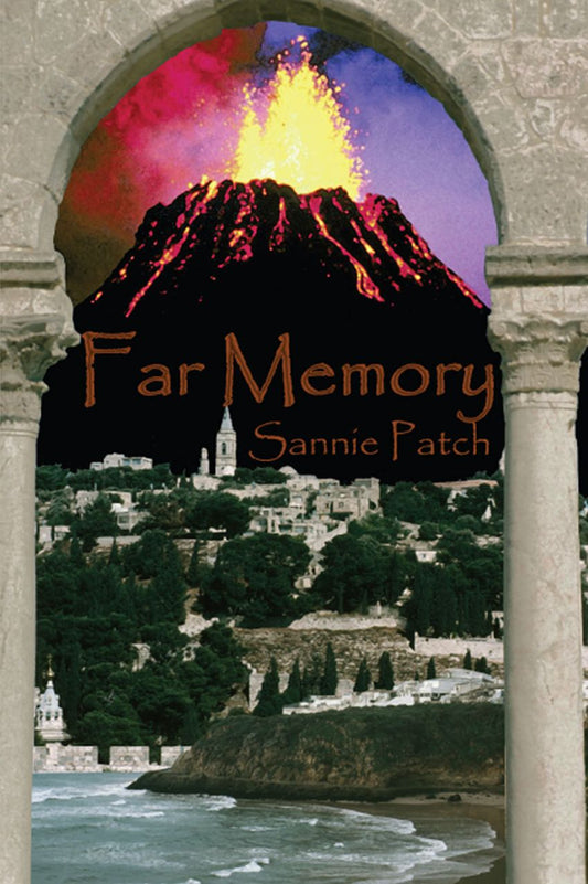 Far Memory
