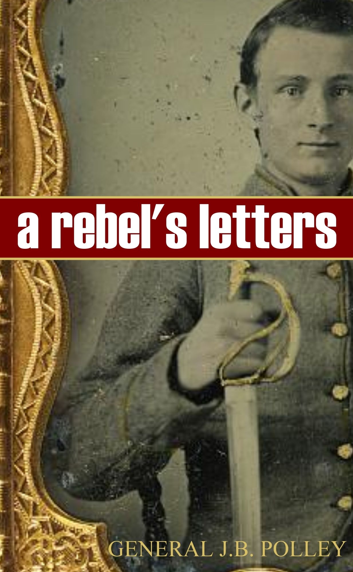 A Soldier's Letters to Charming Nellie