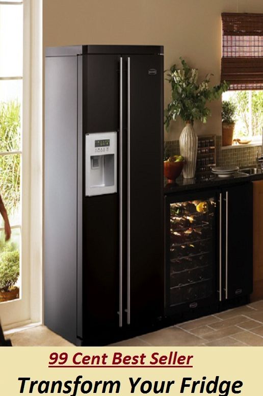 99 Cent Best Seller Transform Your Fridge ( junk Food, little nutritional value, fat, sugar, salt, calories, snack foods, gum, candy, sweet desserts, fried fast food, carbonated beverages )