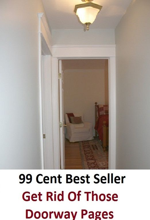 99 Cent Best Seller Get Rid Of Those Doorway Pages ( online marketing, workstation, pc, laptop, CPU, blog, web, net, netting, network, internet, mail, e mail, download, up load, keyword, software, bug, antivirus, search engine, anti spam )