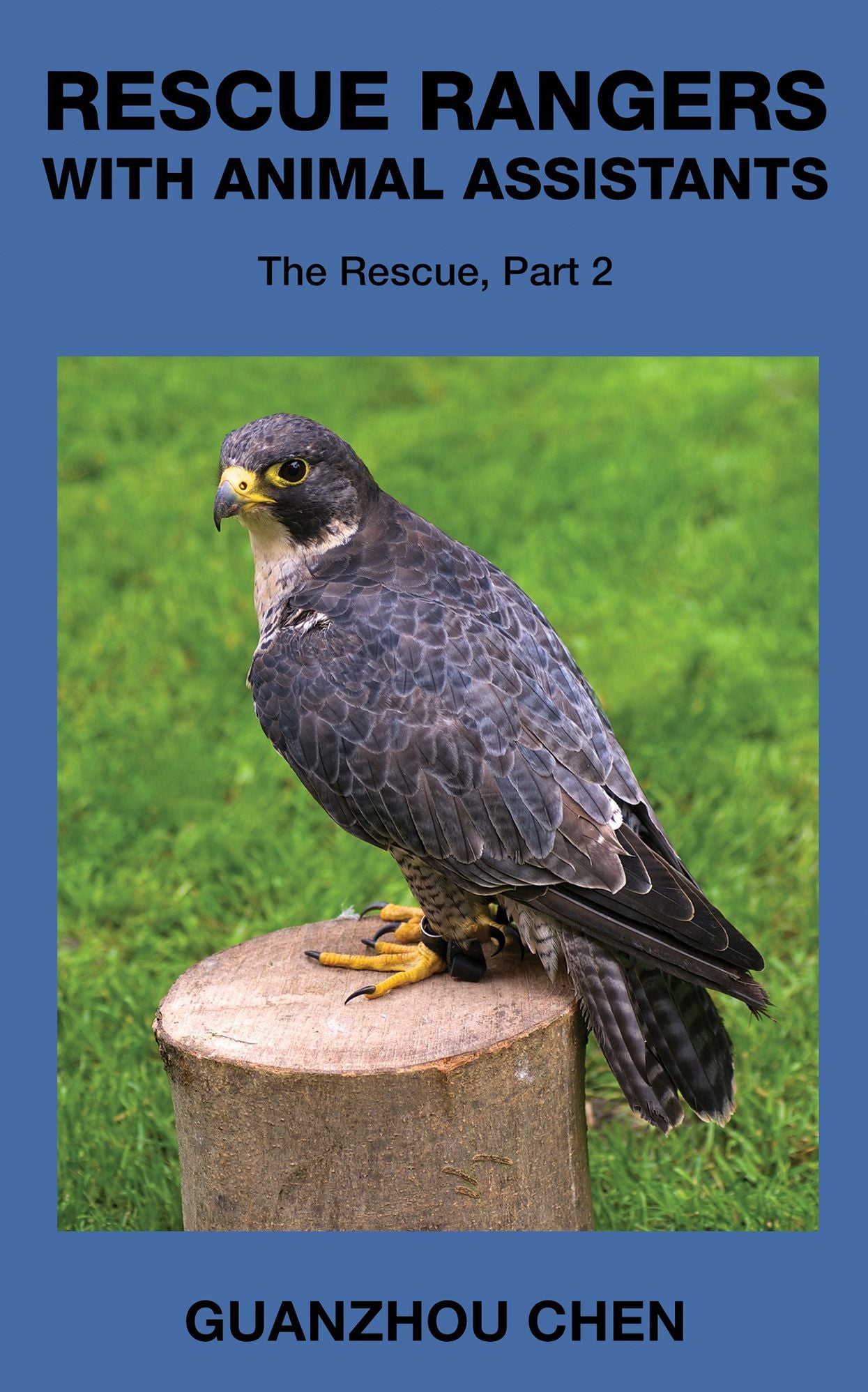 Rescue Rangers with Animal Assistants; The Rescue, Part 2