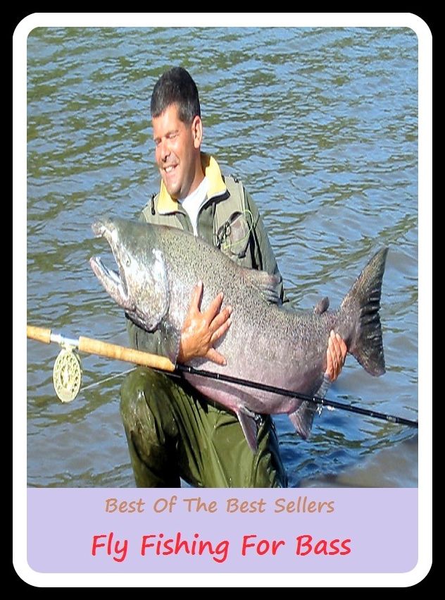 Bass Fishing Techniques: Fly Fishing For Bass (go fishing, angle, cast, trawl, troll, seine, angling, trawling, trolling, seining, ice fishing, catching fish)