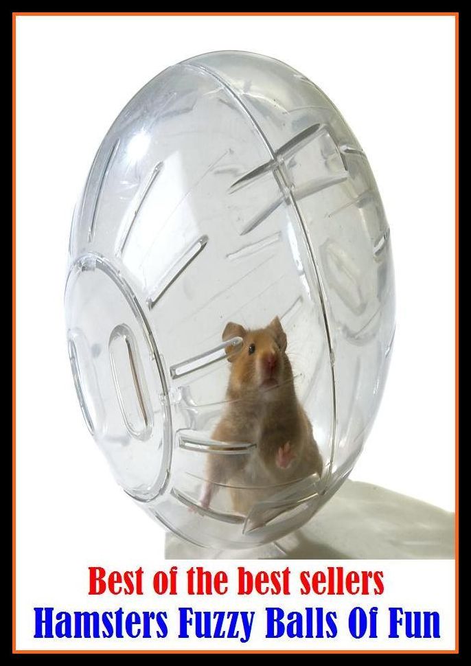 Best of the Best Sellers Hamsters Fuzzy Balls Of Fun ( pleasure, enjoyment, sport , joke , jest, pleasantry, frolic, sport, prank, trickery )