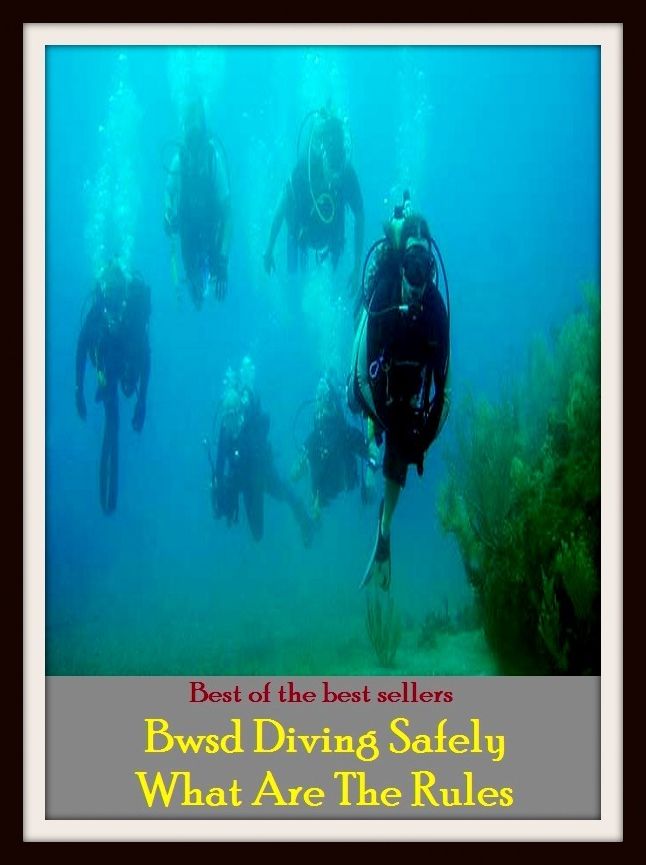 Best of the Best Sellers Bwsd Diving Safely What Are The Rules (bump, collapse, collide, ditch, dive, drop, hurtle, lurch, meet, pitch)