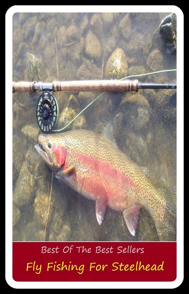 Fishing Books: Fly Fishing For Steelhead (go fishing, angle, cast, trawl, troll, seine, angling, trawling, trolling, seining, ice fishing, catching fish)
