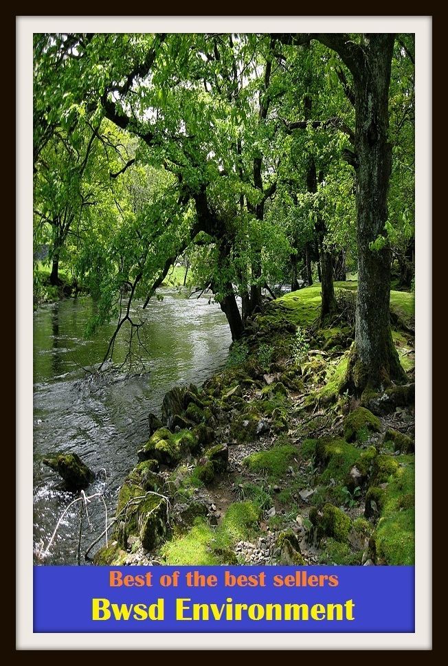 Best of the Best Sellers Bwsd Environment (air, ambience, aura, background, character, climate, color, feel, feeling, flavor)