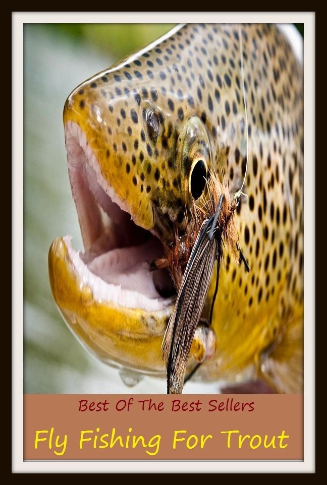 How to Fly Fish: Fly Fishing For Trout (go fishing, angle, cast, trawl, troll, seine, angling, trawling, trolling, seining, ice fishing, catching fish)