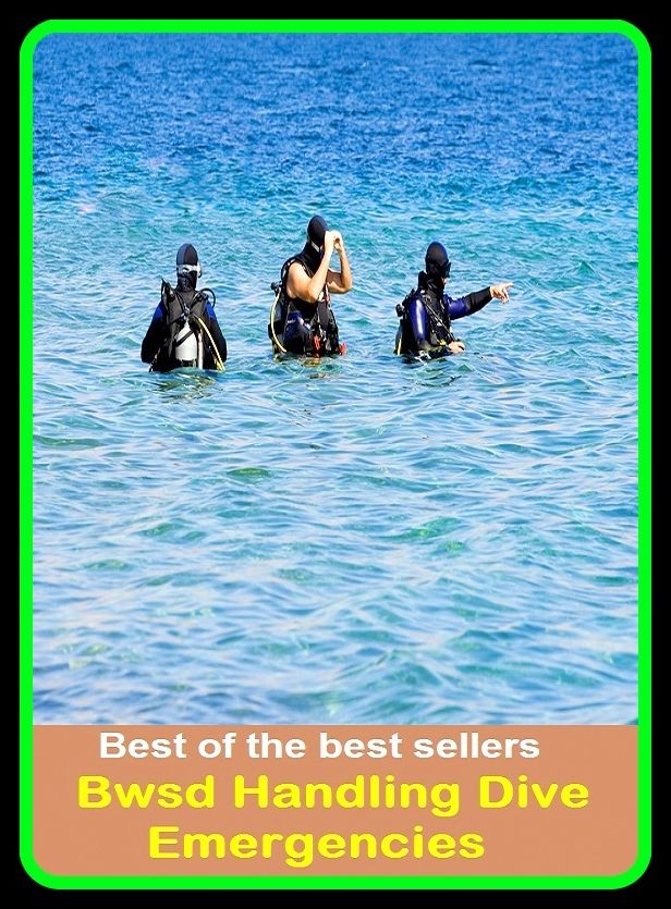 Best of the Best Sellers Bwsd Handling Dive Emergencies (bump, collapse, collide, ditch, dive, drop, hurtle, lurch, meet, pitch)