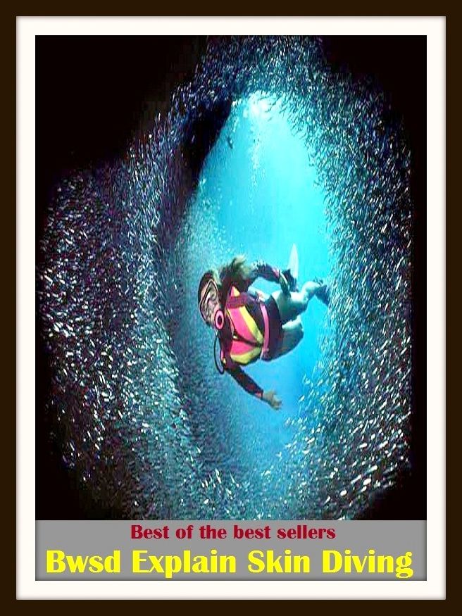 Best of the Best Sellers Bwsd Explain Skin Diving (bump, collapse, collide, ditch, dive, drop, hurtle, lurch, meet, pitch)