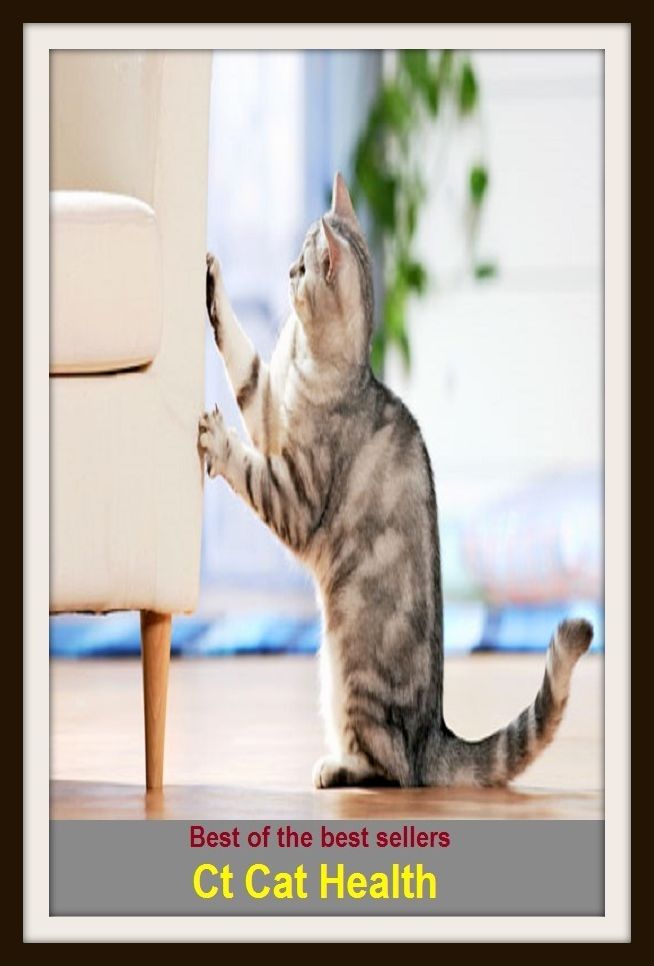 Best of the Best Sellers Ct Cat Health (energy, pink, prime, state,tone, stamina, strength, bloom, complexion, top)