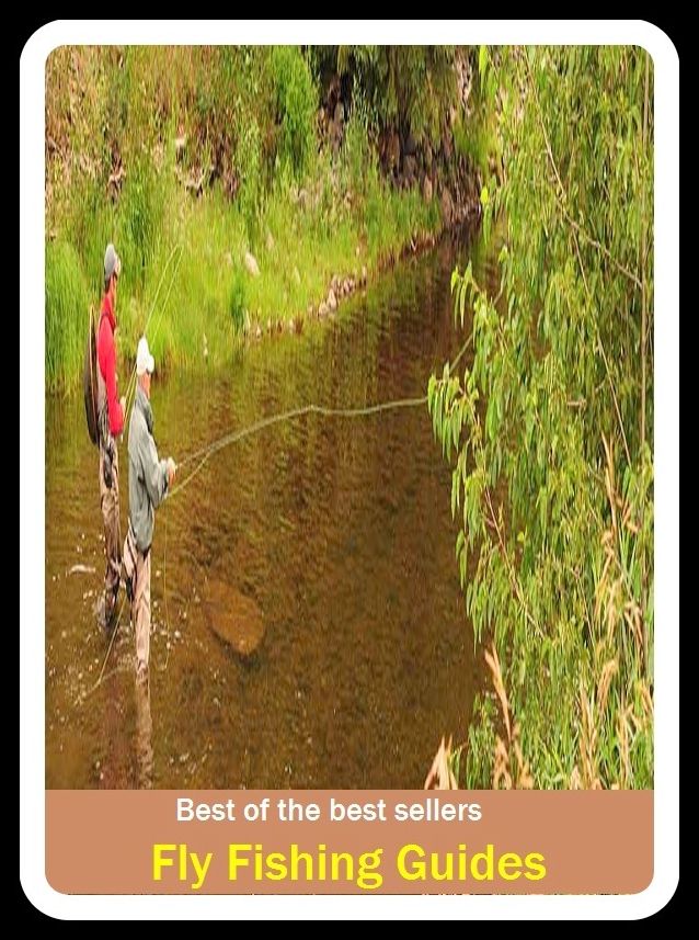 Best of the Best Sellers Fly Fishing Guides (go fishing, angle, cast, trawl, troll, seine, angling, trawling, trolling, seining, ice fishing, catching fish)