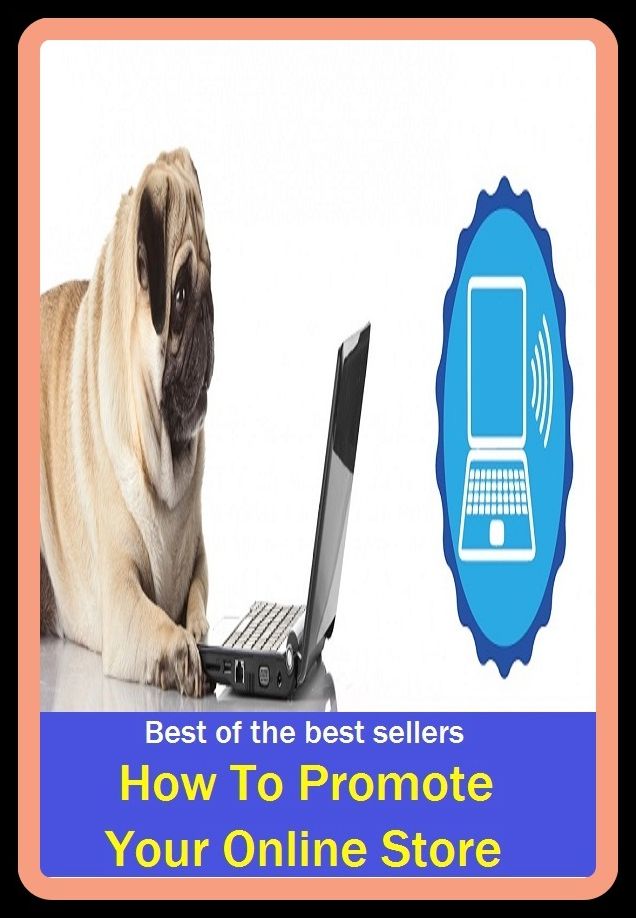 Best of the Best Sellers How To Promote Your Online Store (networked, wired, accessible, computer, connected, hooked up, on stream, operative, installed, linked)