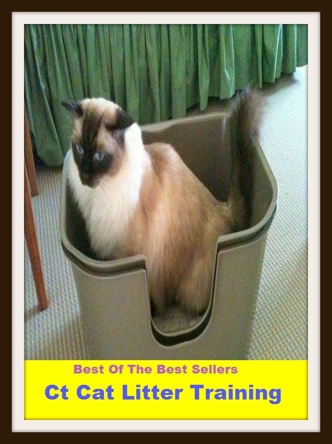 Best of the Best Sellers Ct Cat Litter Training (training, education, manufacture, formulation, preparation, construction, production, instruction, schooling, drill)