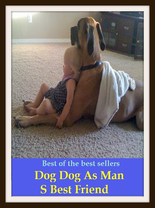 Best of the Best Sellers Dog Dog As Man S Best Friend( buddy, bud, pard, well-wisher, benefactor,patron, brother, cousin brother, grandson, grandnephew)