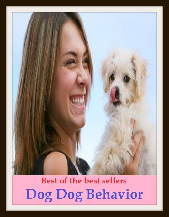 Best of the Best Sellers Dog Behavior(conduct, treatment, dealing, act, attitude, pickles, seasoning, rite, condiment)