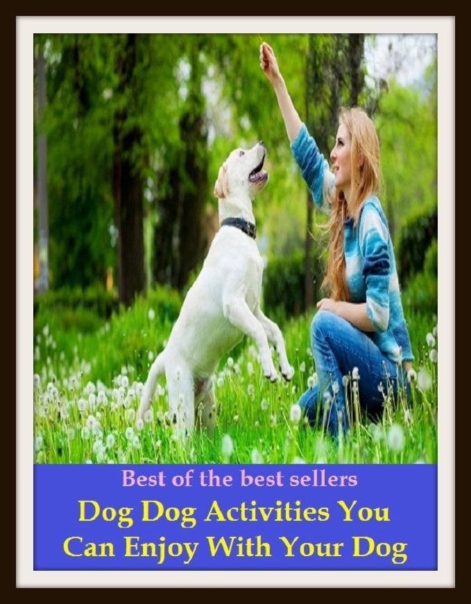 Pets: Best of the Best Sellers Dog Dog Activities You Can Enjoy With Your Dog (Enjoy, like, love, be fond of, be entertained by, take pleasure in, be keen on, delight in, appreciate, relish, revel in)