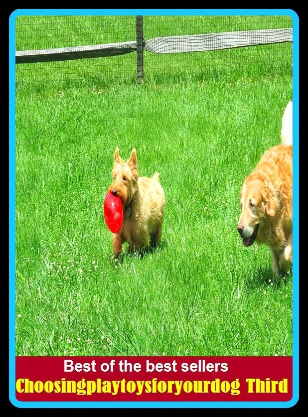 Pets: Best of the Best Sellers Choosingplaytoysforyourdog Third ( Dog, hound, canine, mongrel, mutt, cur, pup, puppy, doggy/doggie, pooch, furball, man's best friend )