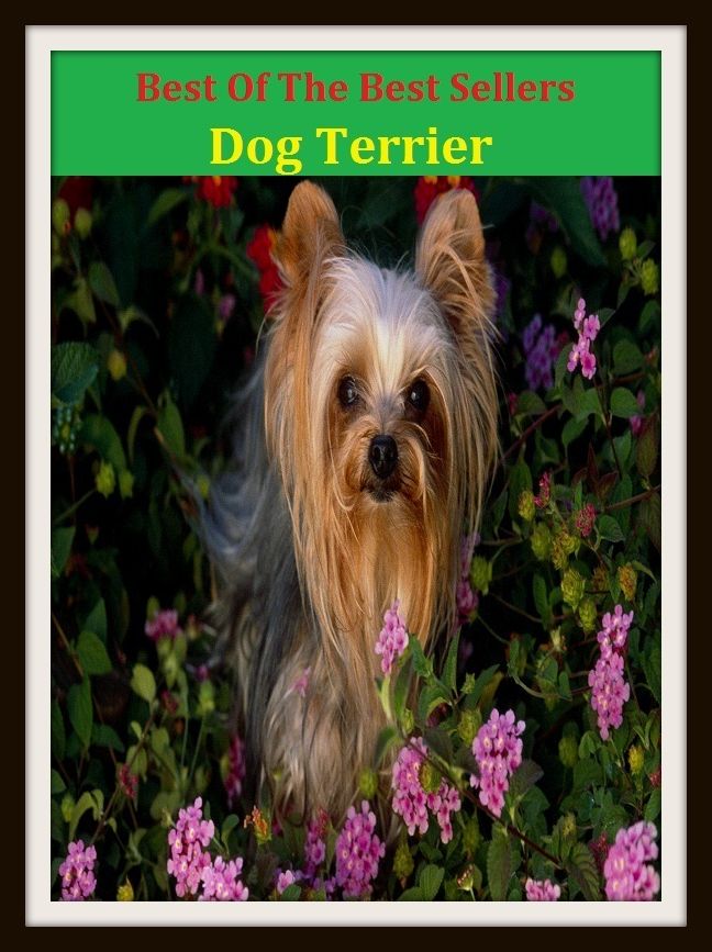 Best of the Best Sellers Dog Terrier ( Dog, hound, canine, mongrel, mutt, cur, pup, puppy, doggy/doggie, pooch, furball, man's best friend )
