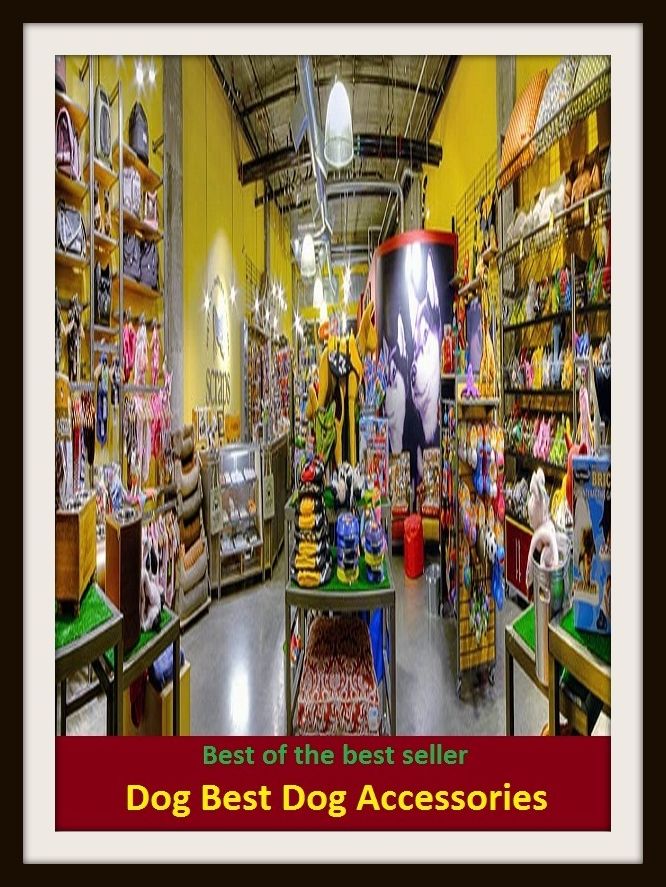 Best of the Best Sellers Dog Best Dog Accessories ( Dog, hound, canine, mongrel, mutt, cur, pup, puppy, doggy/doggie, pooch, furball, man's best friend )