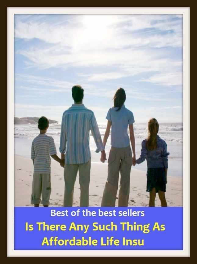 Best of the Best Sellers Is There Any Such Thing As Affordable Life Insu ( existence, being, living, animation, sentience, creation, viability, life, lifetime, existence, livelihood, breath, quick)