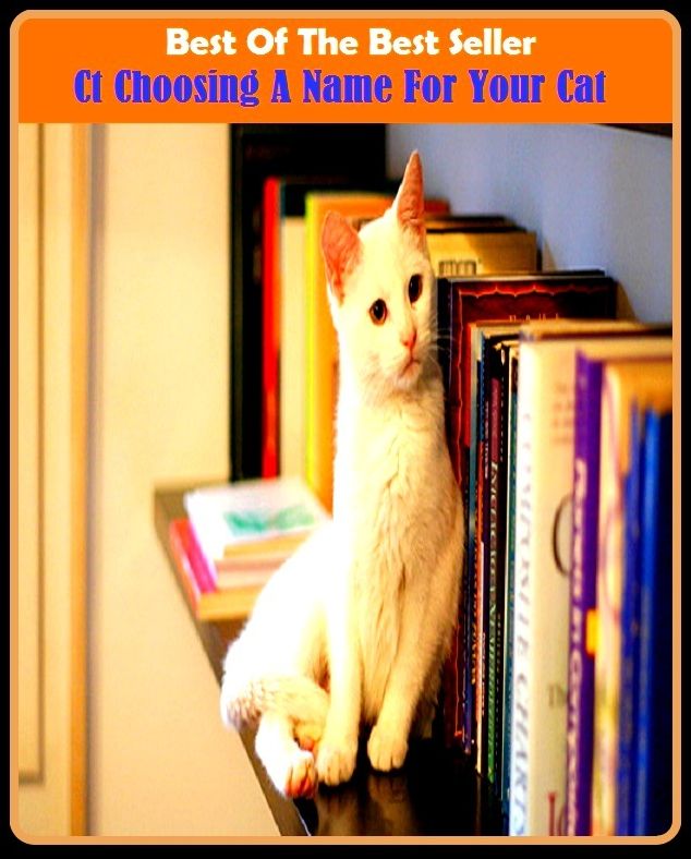 Best of the Best Sellers Ct Choosing A Name For Your Cat (option, choice, like, taste, liking, will, selection, election, volition, choice, alternative)