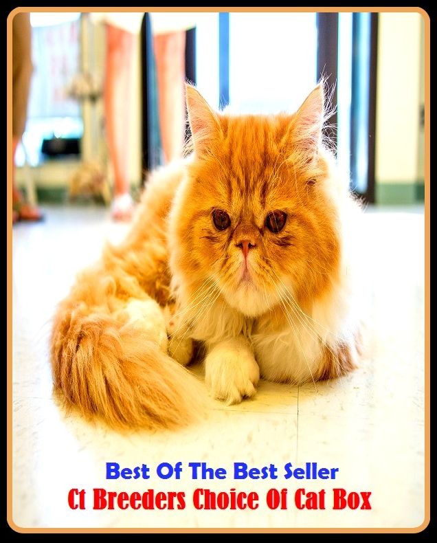 Best of the Best Sellers Ct Breeders Choice Of Cat Box (option, choice, like, taste, liking, will, selection, election, volition, choice, alternative)